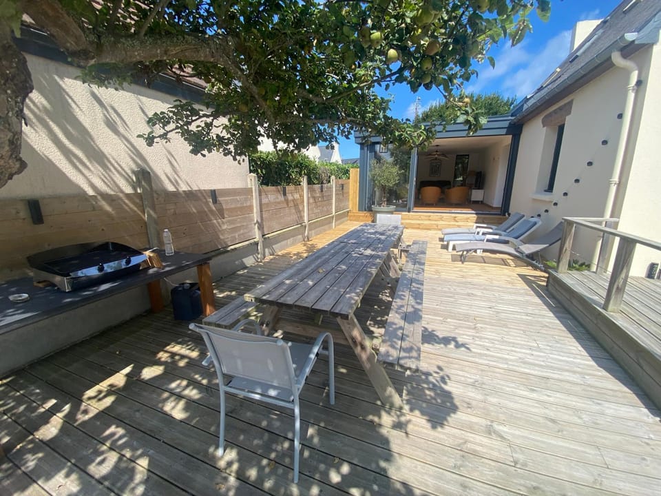 Patio, Balcony/Terrace, sunbed
