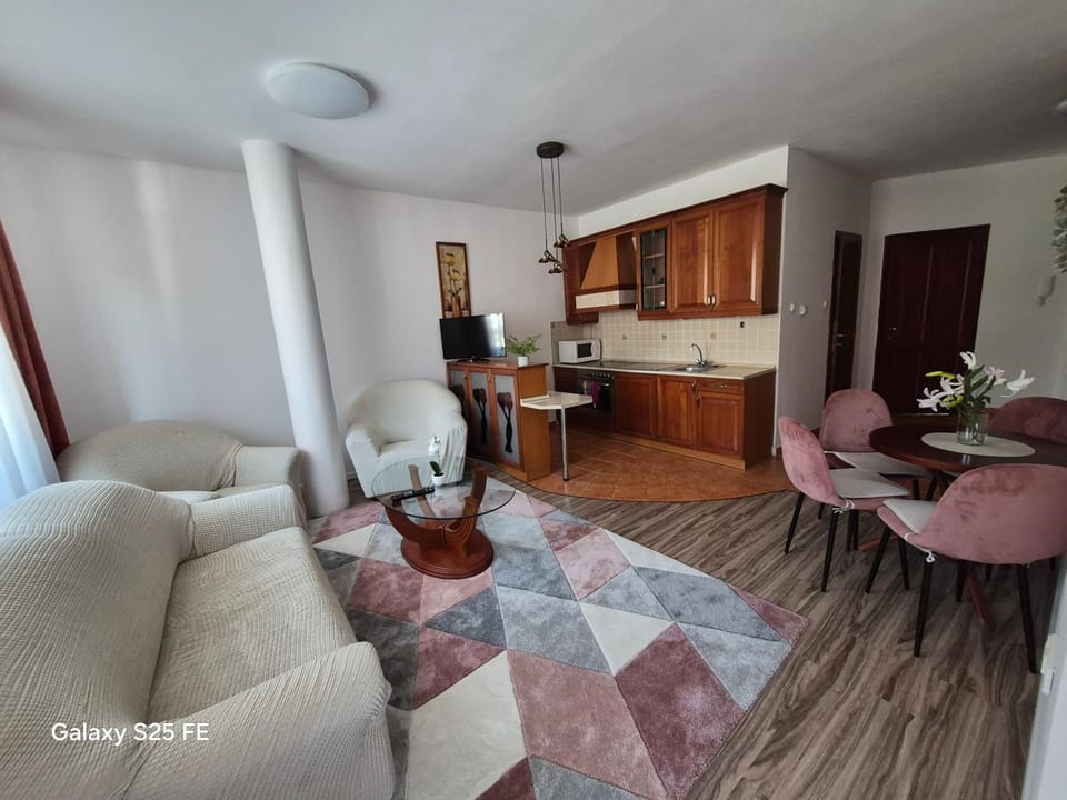 Kitchen or kitchenette, Living room, stove
