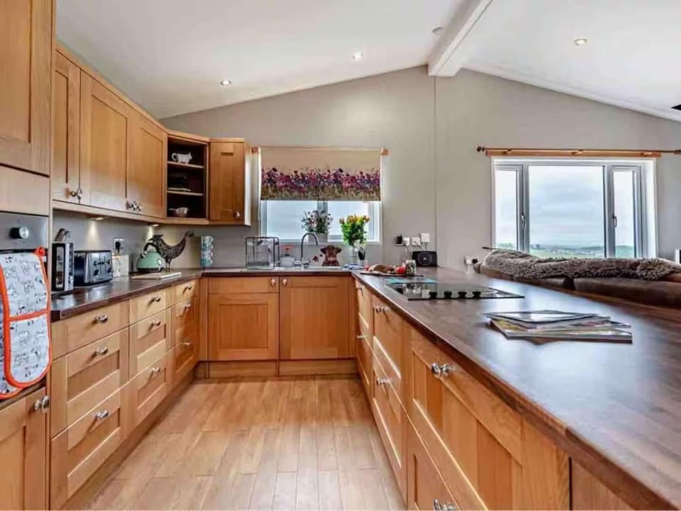 Kitchen or kitchenette, toaster