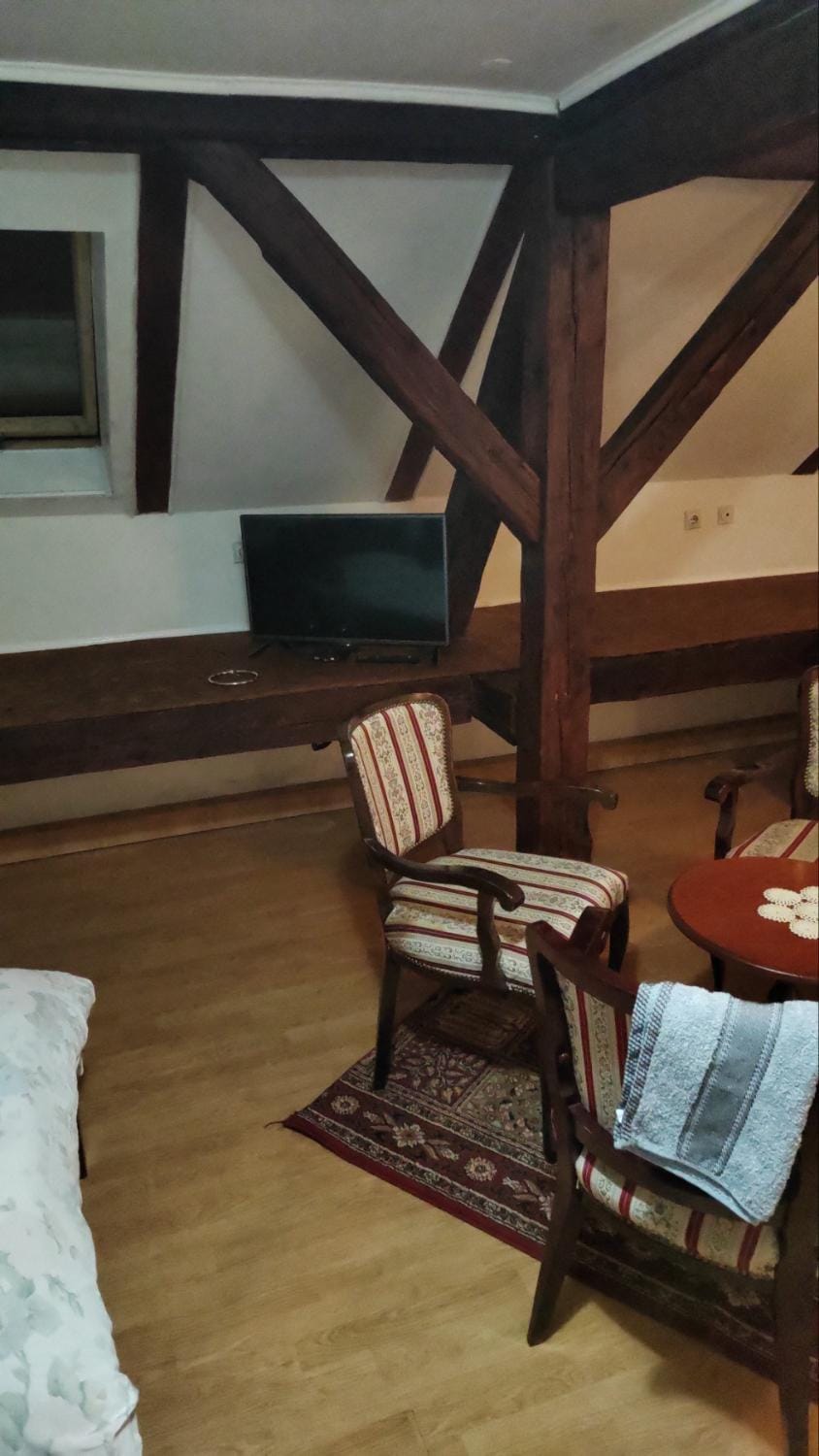 Vila Olga Apartment in Vojvodina
