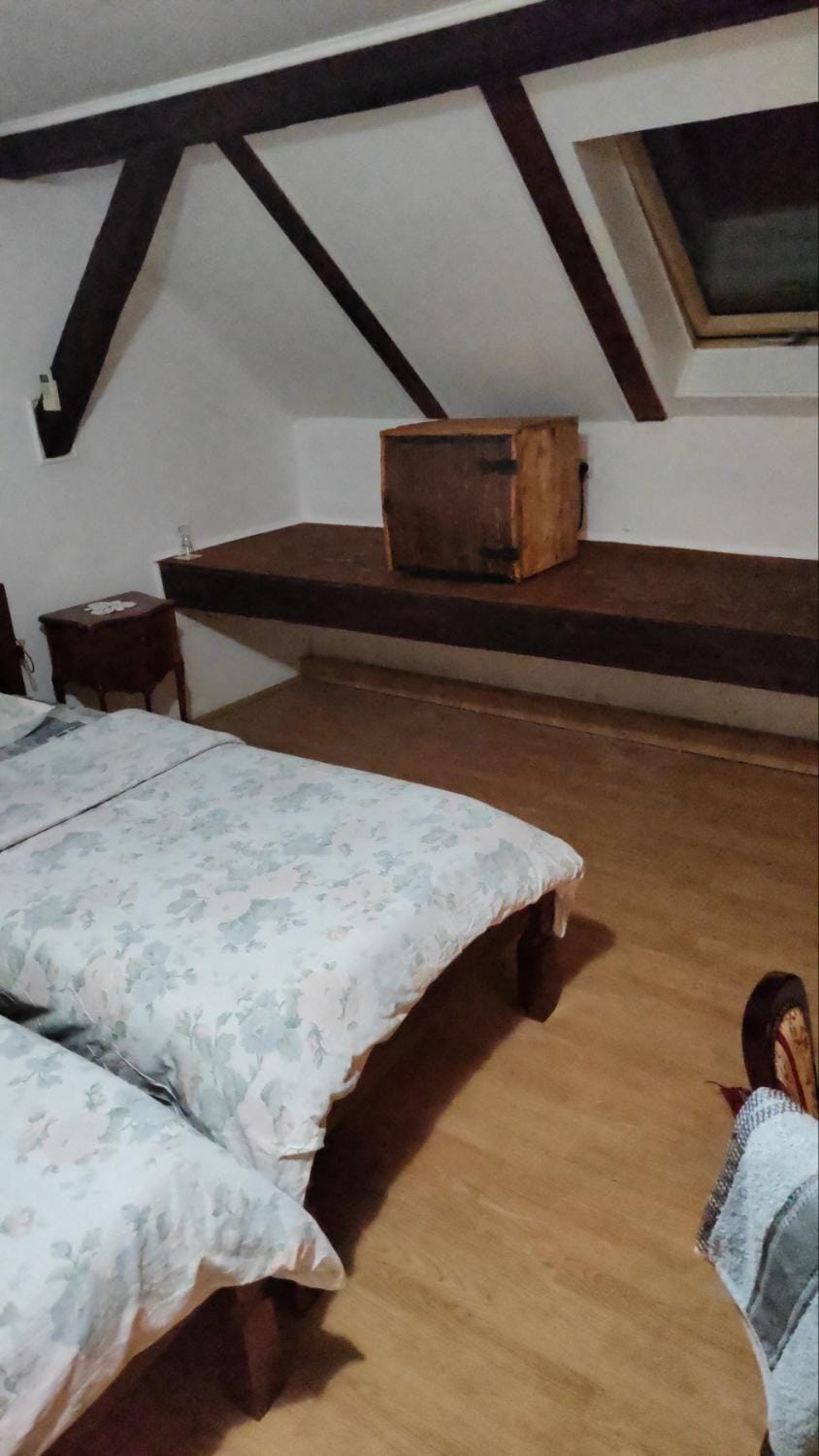 Vila Olga Apartment in Vojvodina
