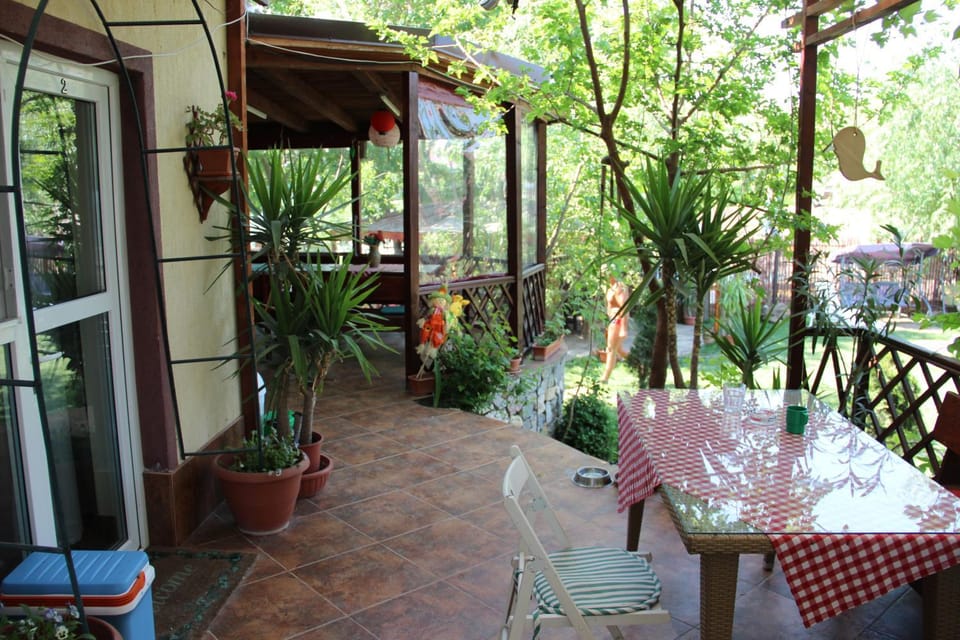 Vila VERA House in Romania