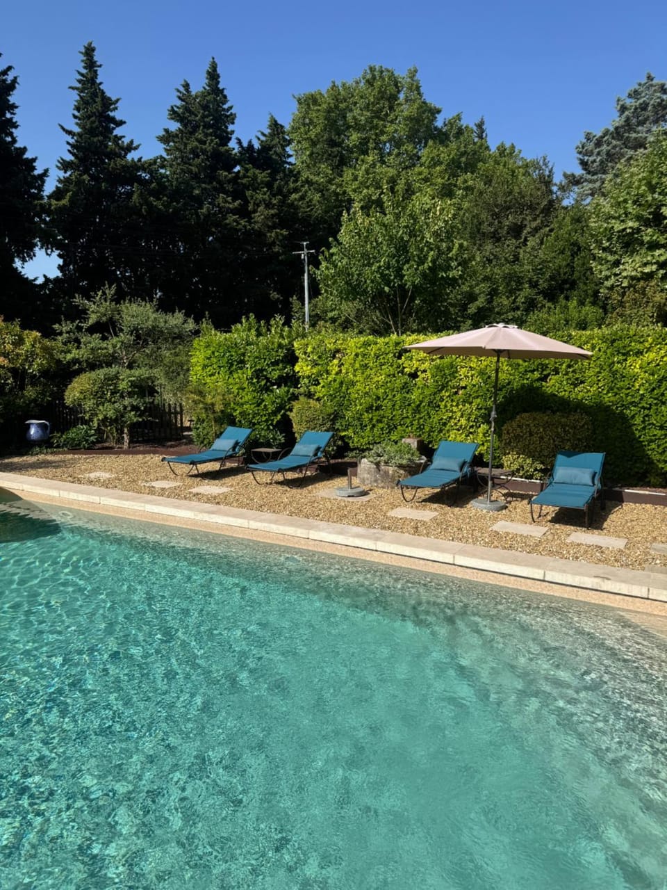 Garden, Pool view, Swimming pool