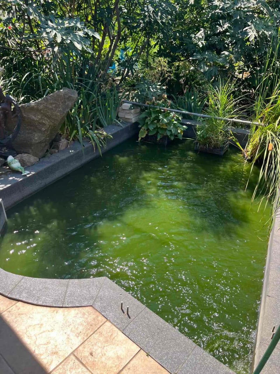 Pool view