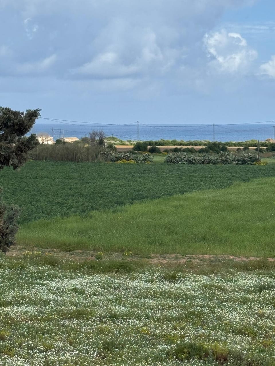 Maison dar allouche House in Tunisia
