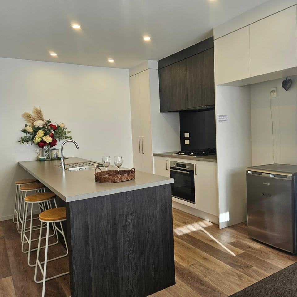 Luxury Stay in Cambridge Apartment in Cambridge