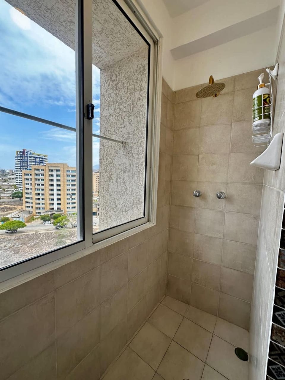 Remodeled Margarita Apt Pool Apartment in Venezuela