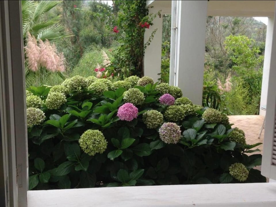 Dar sultana Villa in Tangier-Tétouan-Al Hoceima