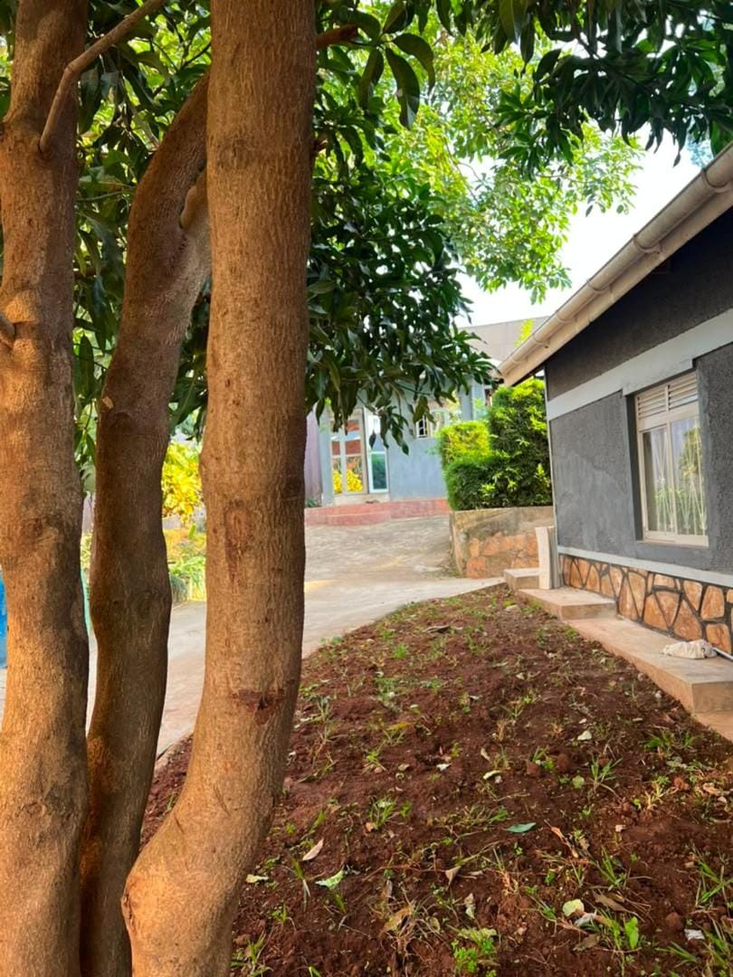 Comfort homes Apartment in Kampala