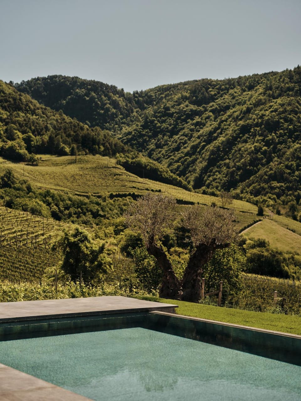 Natural landscape, Pool view, Swimming pool, Swimming pool