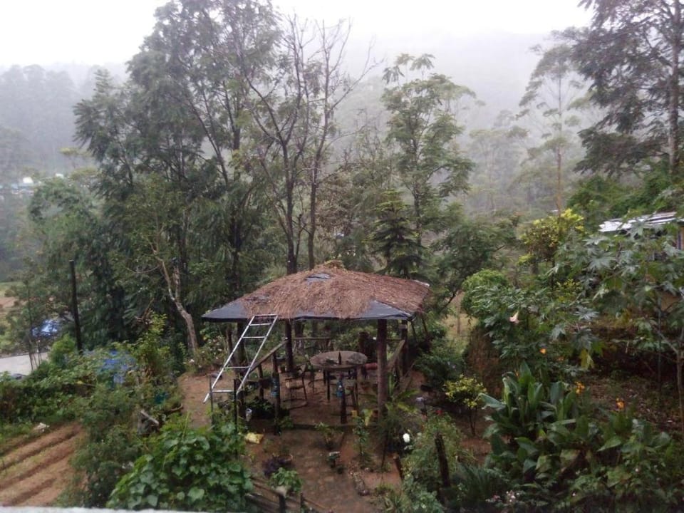Hotel Blue Sky Adams Peak Bed and Breakfast in Central Province