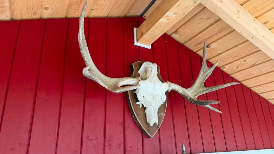 Sjarmerende campinghytte i skogen Campground/ 
RV Resort in Viken, Norway