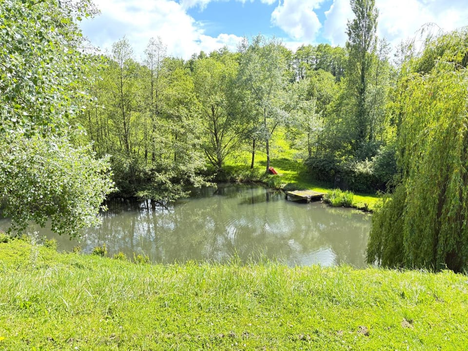 Lake view