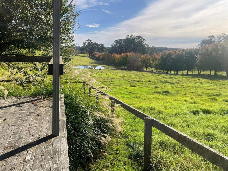 The Grasshouse Cabins Cabin in Burrawang