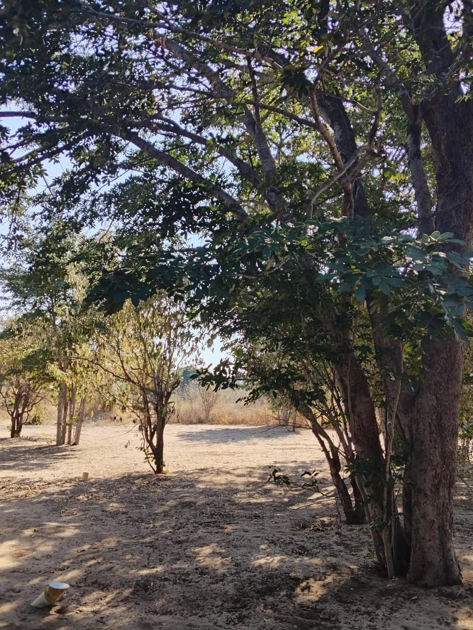 Natural landscape