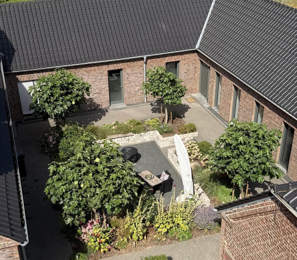 Inner courtyard view