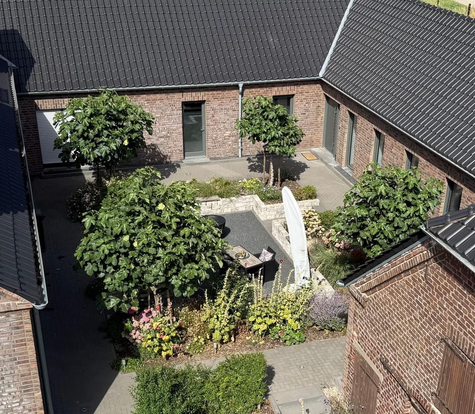 Property building, Patio