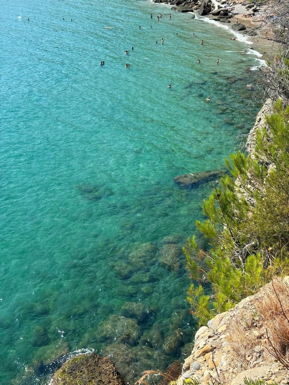 Natural landscape