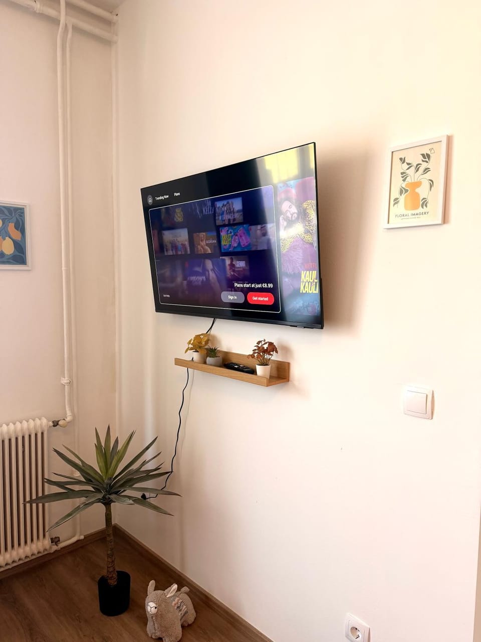 TV and multimedia, Evening entertainment