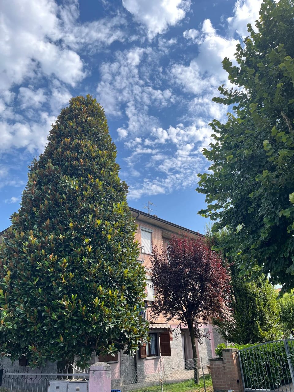 Property building, Garden, Garden view