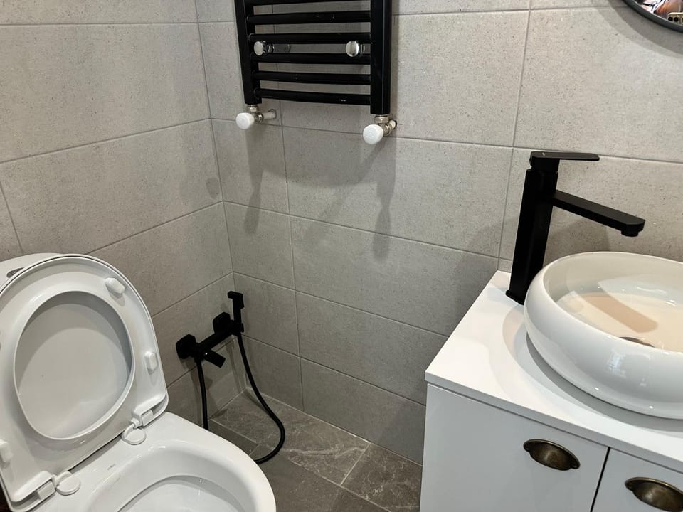 Toilet, Bathroom, bidet
