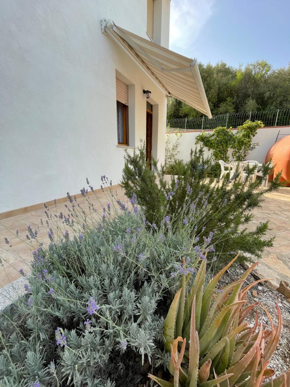 Property building, Spring, Day, Garden, Garden, Garden view