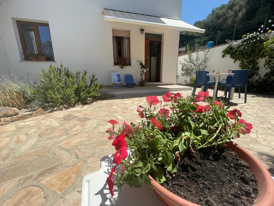 Property building, Patio, Spring, Day, Garden, Garden, Garden view