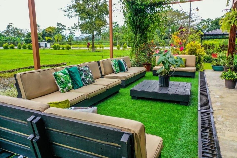 Patio, Natural landscape, Garden, Seating area, Garden view