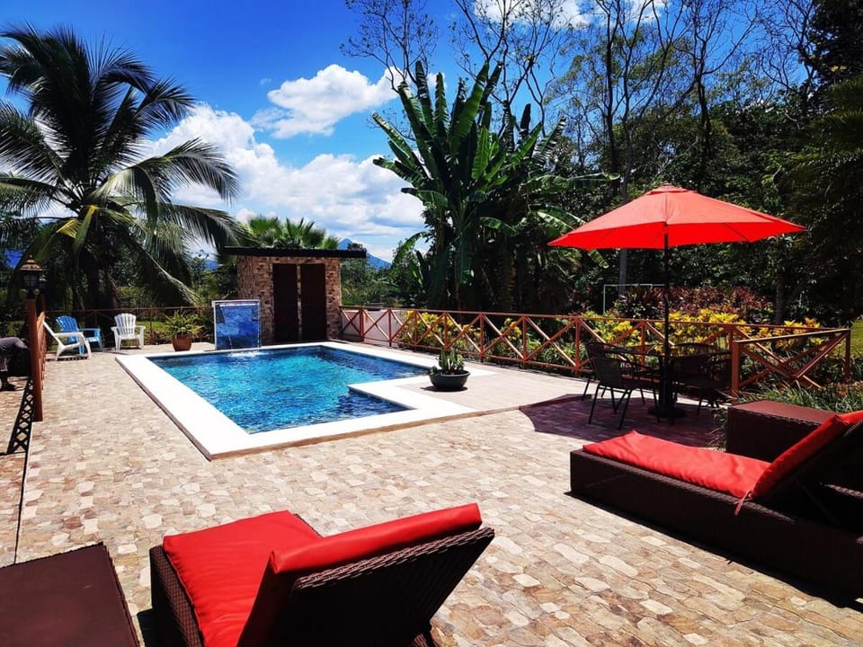 Garden view, Swimming pool, sunbed