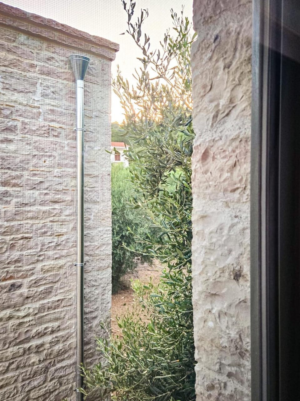 Spring, Day, Garden, Garden view
