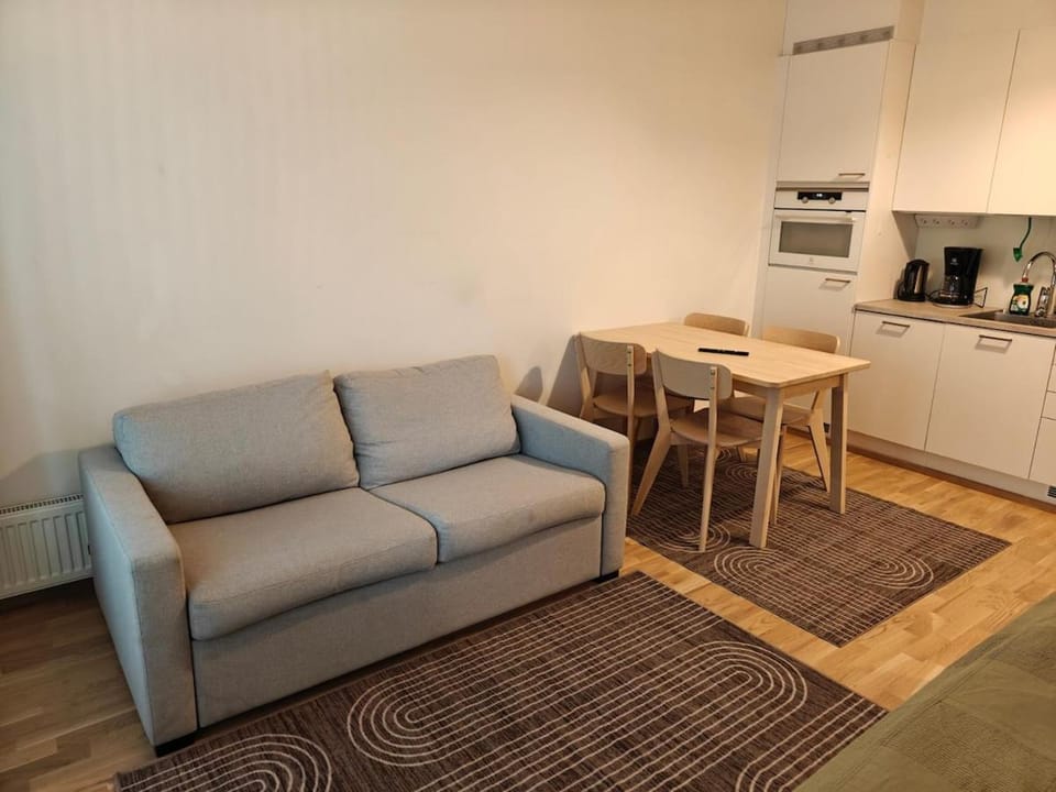 Modern Aparment - Next to Station - Self Check-in Apartment in Helsinki