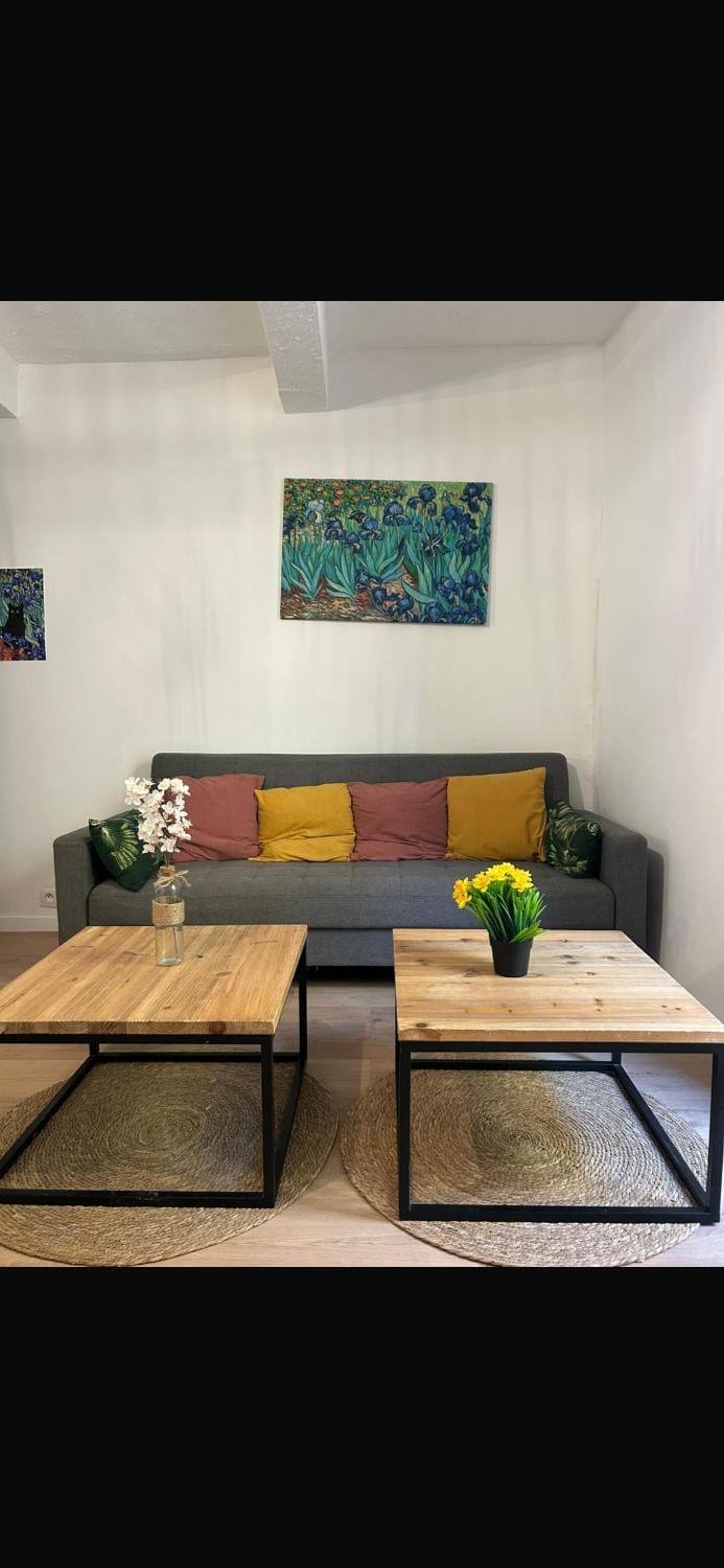 Appartement calme Apartment in Béziers