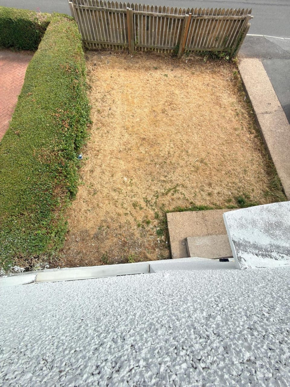 Day, Garden