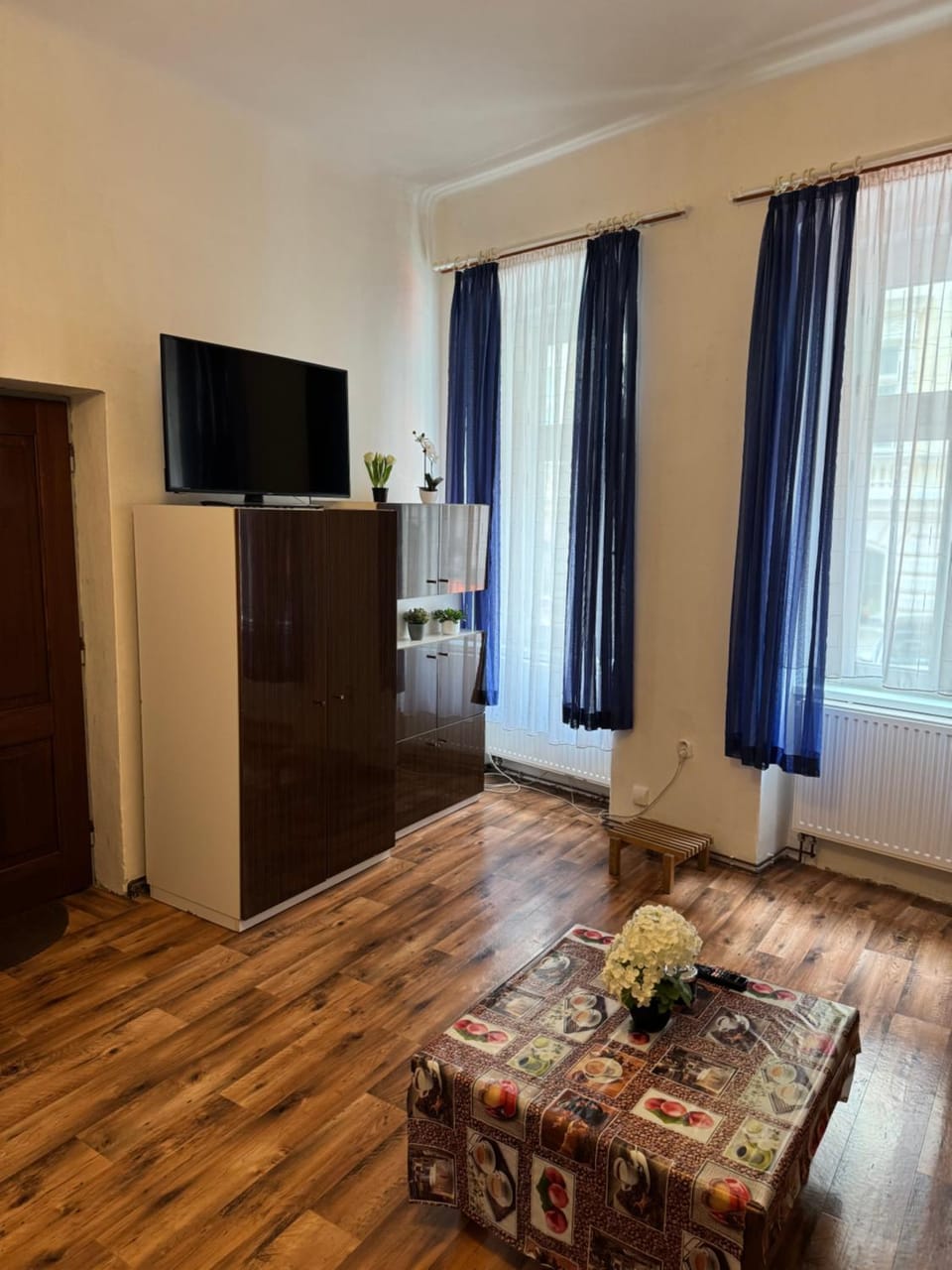 Cozy studio near the Hot Spring Apartment in Czechia