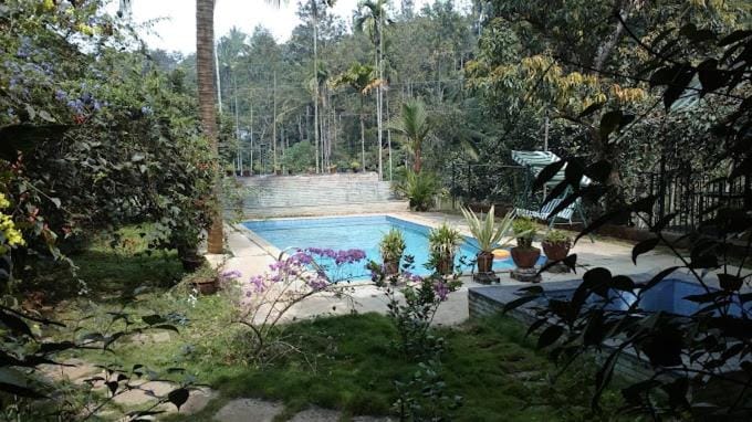 Wayanad Turmerica Premium Pool Resort Resort in Kerala