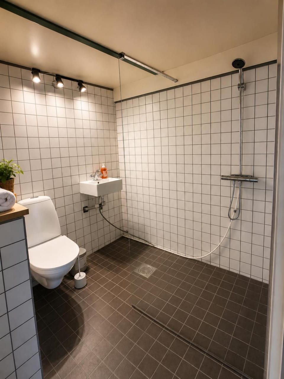 Shower, Toilet, Bathroom