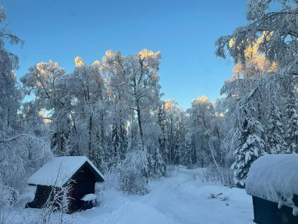 Charming Loft Cabin 7 mins to Downtown Talkeetna Cabin in Talkeetna
