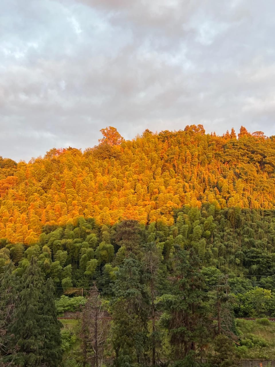 Natural landscape, View (from property/room), Mountain view