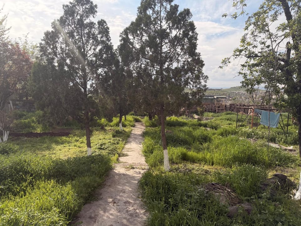 Day, Garden, Garden view