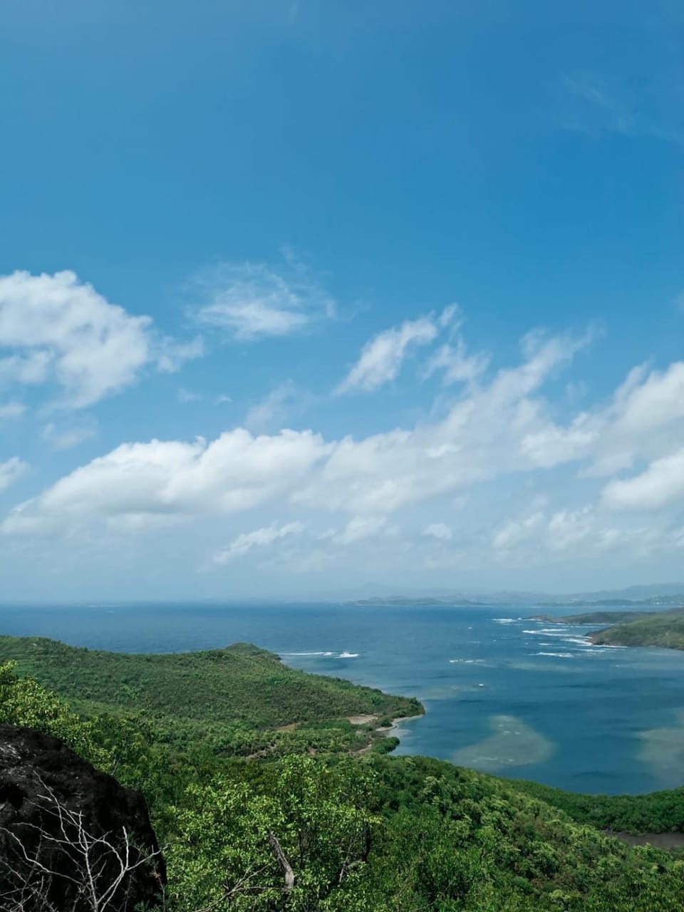Natural landscape