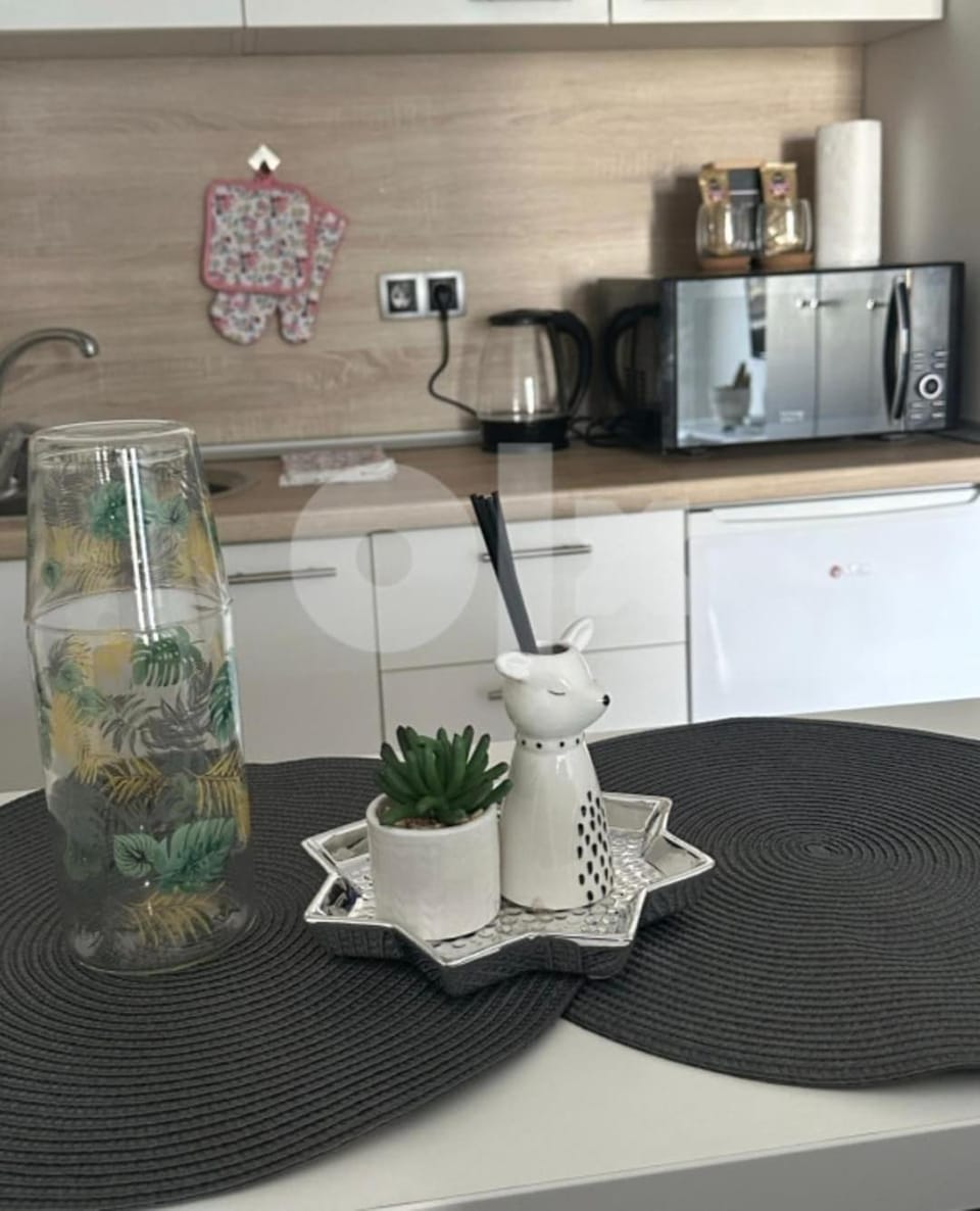 Small, sweet apartment Bulevar Apartment in Sarajevo