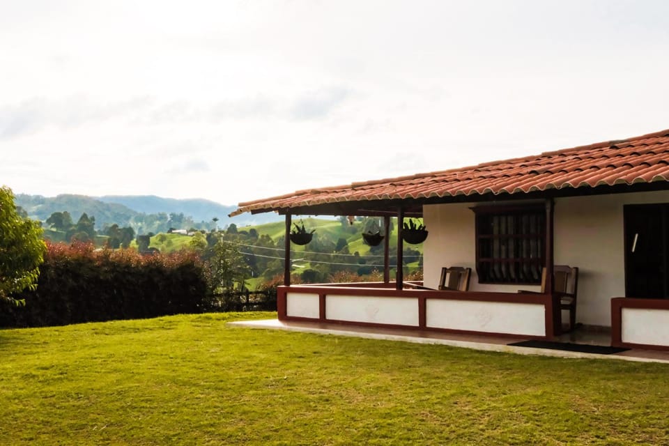 Patio, Day, Garden, View (from property/room), Mountain view