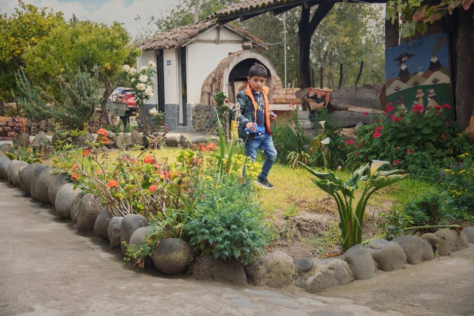 Day, People, Garden, Garden view