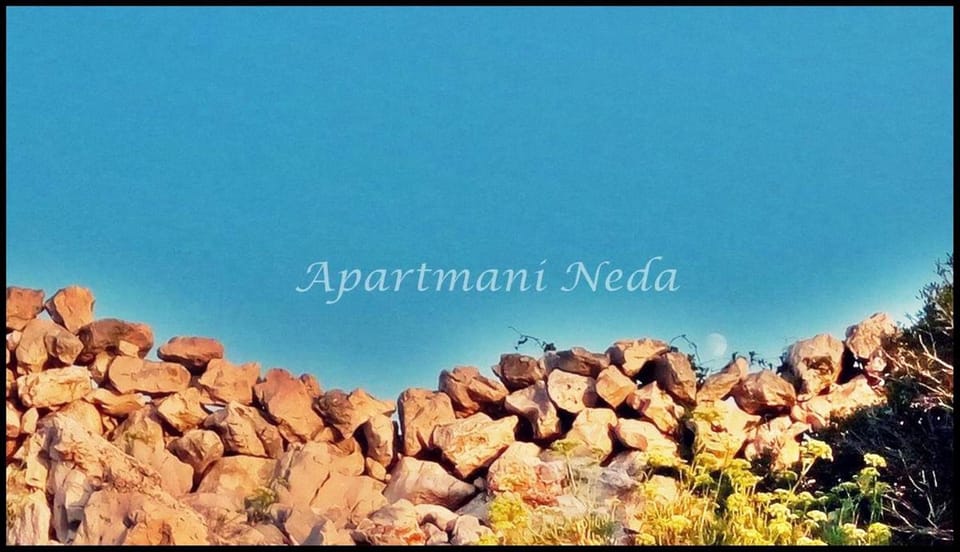 Neighbourhood, Natural landscape