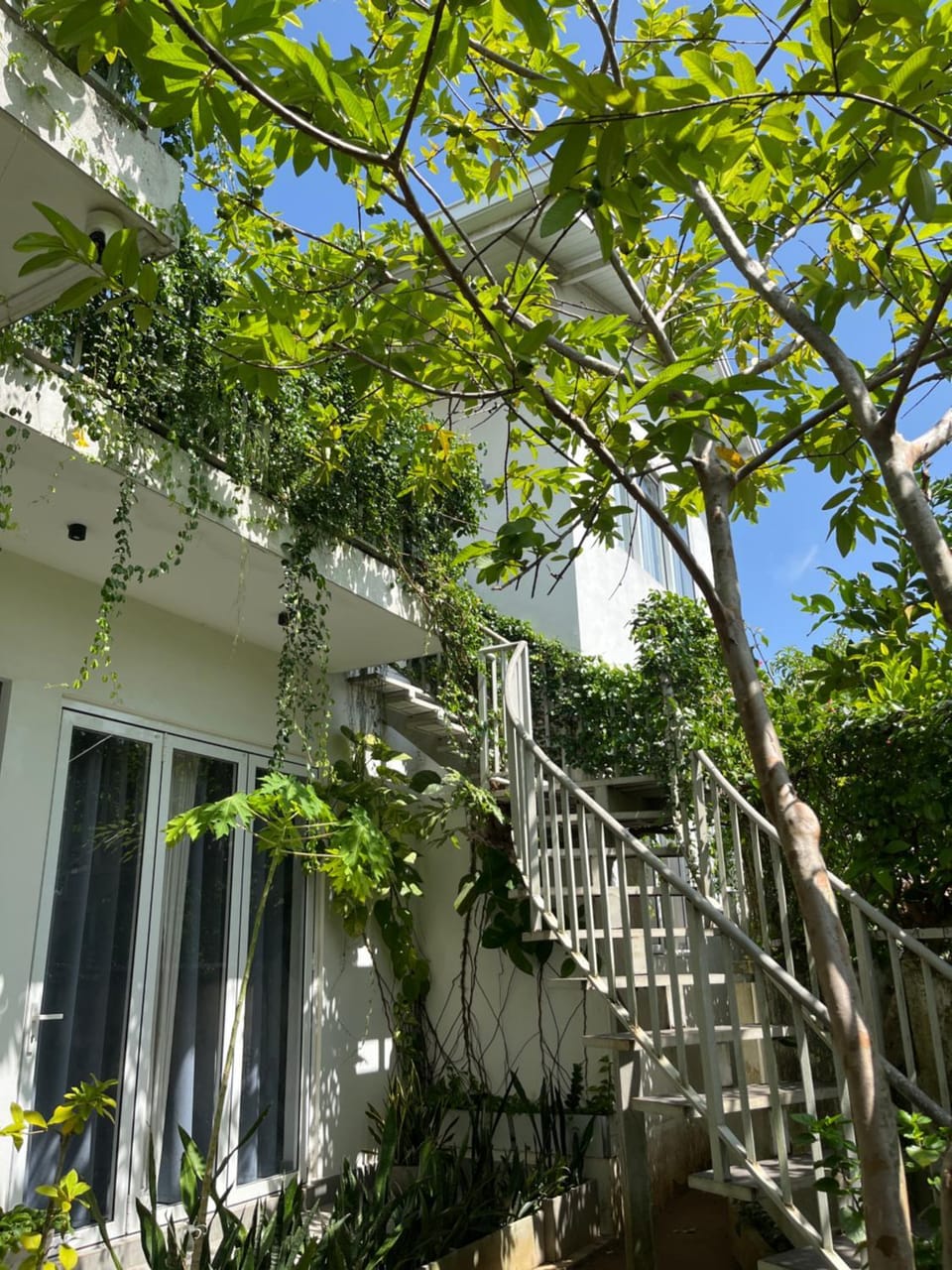 Garden view