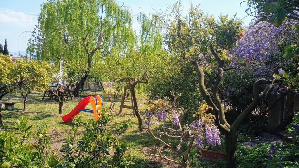 Spring, Children play ground, Garden, On site, Garden view, children