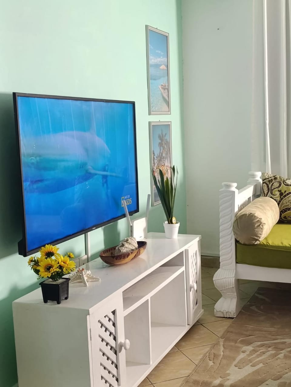 TV and multimedia