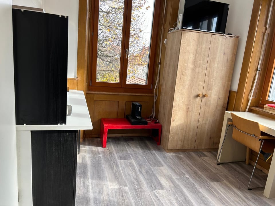 Studio Apartment in Canton of Bern (Region)