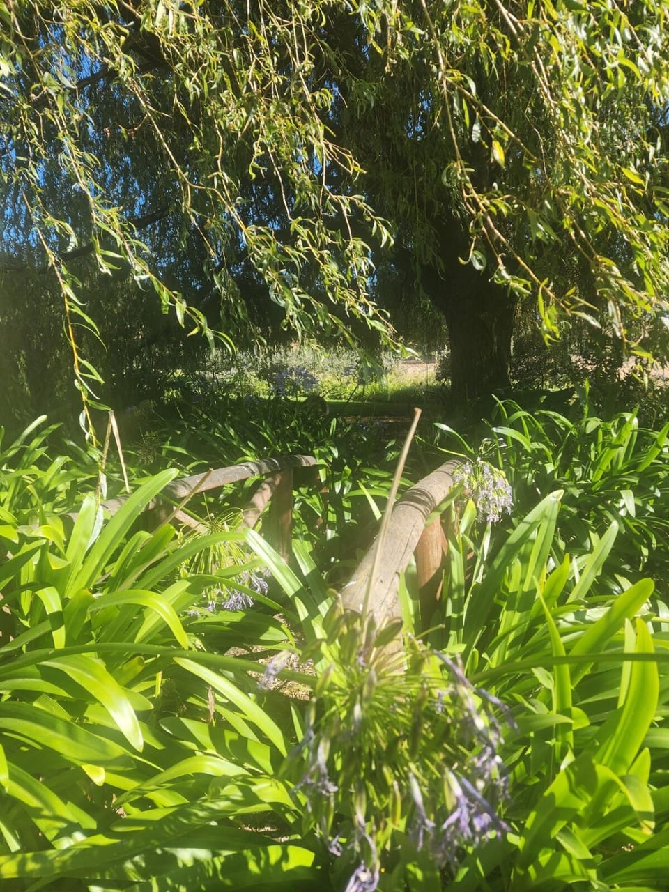 Willow Highland Farm Stay Apartment in Tasman District, Tasman, New Zealand