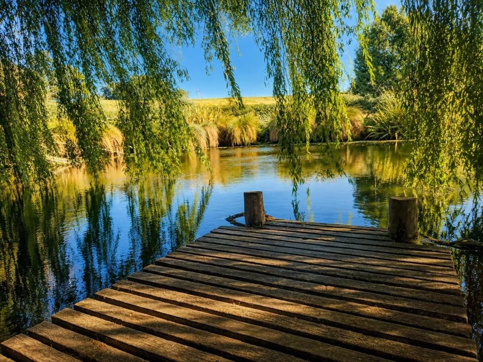 Willow Highland Farm Stay Apartment in Tasman District, Tasman, New Zealand